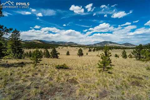 128 Nancy Ann Arroyo, Guffey, CO 80820