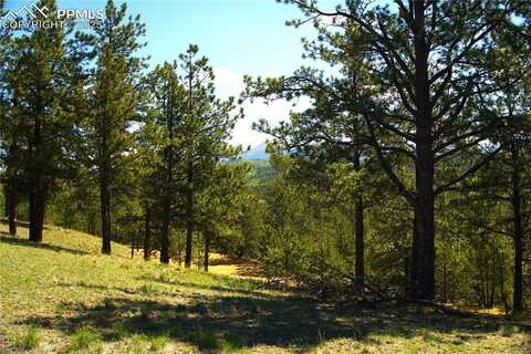 29 Dexter Circle, Cripple Creek, CO 80813