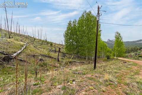 L1 B4 Columbine Circle, Woodland Park, CO 80863