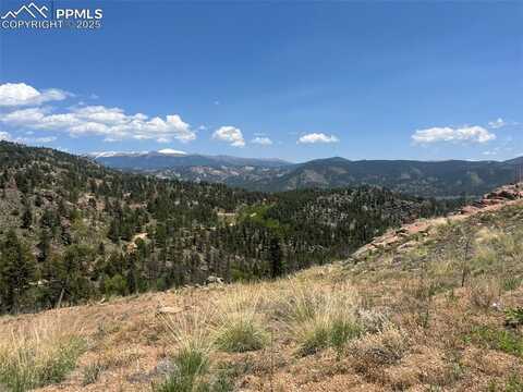 52 Chateau West Circle, Florissant, CO 80816