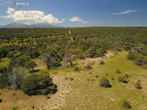 Williams Road, Walsenburg, CO 81089