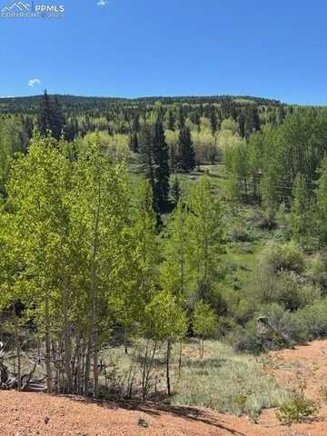 124 Yorktown Drive, Cripple Creek, CO 80813