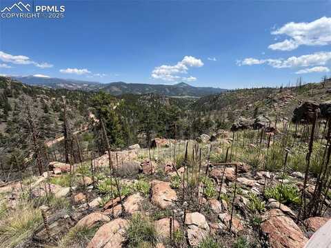 160 Chateau West Drive, Florissant, CO 80816