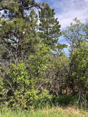 2207 Etal Senecio Drive, Larkspur, CO 80118