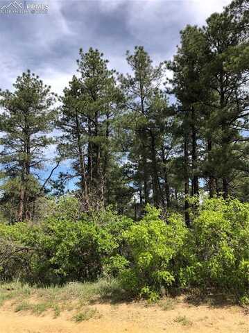 2207 Etal Senecio Drive, Larkspur, CO 80118