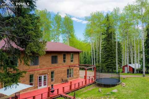 10955 Grenadier Road, Woodland Park, CO 80863