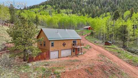 18766 Highway 67, Divide, CO 80814