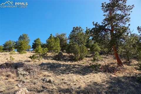 County Road 5, Lot 1, Canon City, CO 81212