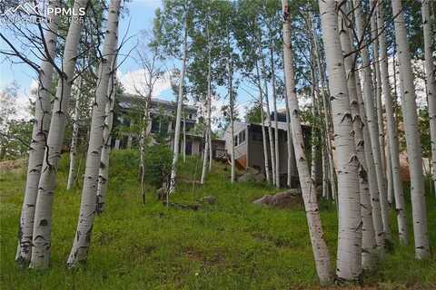 75 Pitchblende Road, Florissant, CO 80816