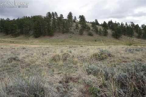 506 Forge Drive, Florissant, CO 80816