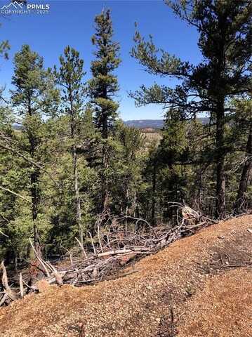 213 Osoeola Road, Woodland Park, CO 80863