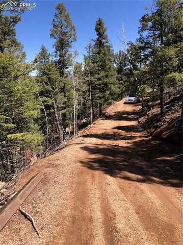 195 Osoeola Road, Woodland Park, CO 80863