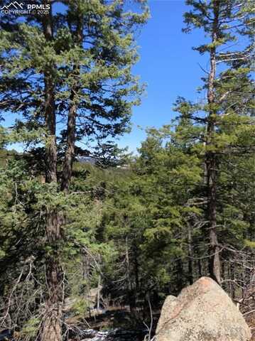 195 Osoeola Road, Woodland Park, CO 80863
