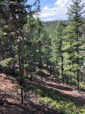 195 Osoeola Road, Woodland Park, CO 80863
