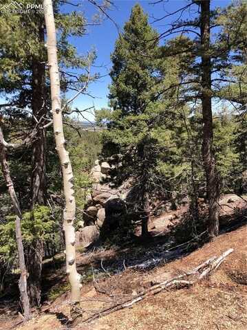 195 Osoeola Road, Woodland Park, CO 80863