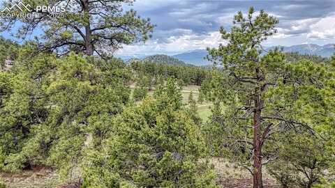 44 Honeysuckle Terrace, Westcliffe, CO 81252
