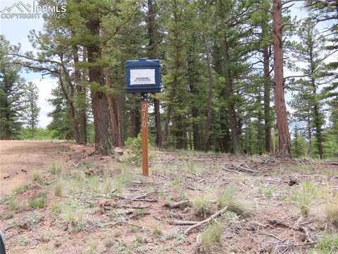 210 Donzi Trail, Florissant, CO 80816