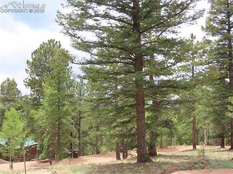 210 Donzi Trail, Florissant, CO 80816