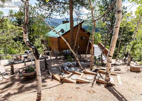 286 Grosbeak Circle, Divide, CO 80814