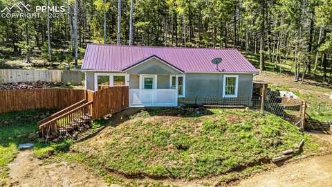 86 Will Stutley Drive, Divide, CO 80814