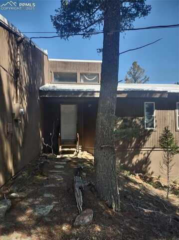 423 RIDGE Road, Divide, CO 80814