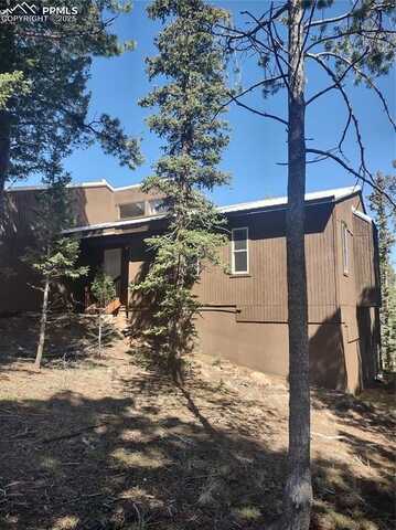 423 RIDGE Road, Divide, CO 80814