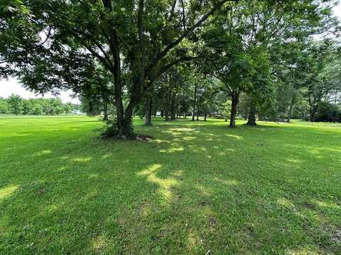 381 Old Hwy 24 W, Foxworth, MS 39643