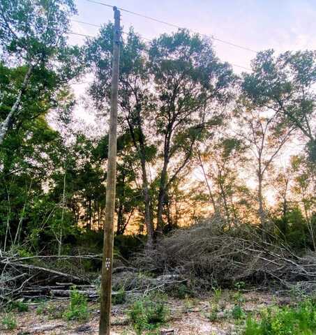 0 WILDFLOWER CIRCLE, Lumberton, MS 39455