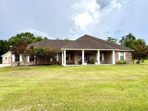 706 Anchor Lake Rd, Carriere, MS 39426