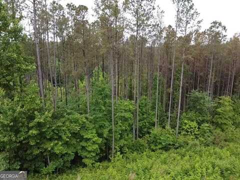 LOT 37 Pine Grove Lane, East Ellijay, GA 30540