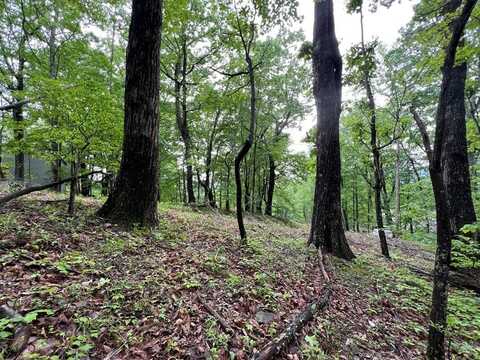 245 Sassafras Mountain Trail, Jasper, GA 30143