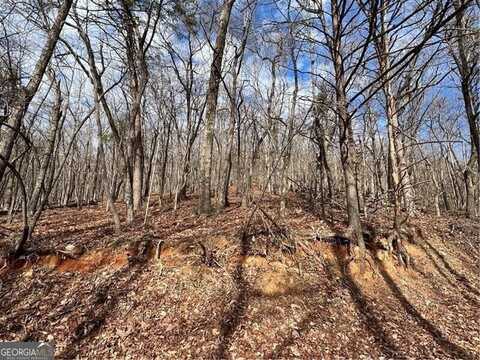 4528 Sassafras Mountain Trail, Jasper, GA 30143