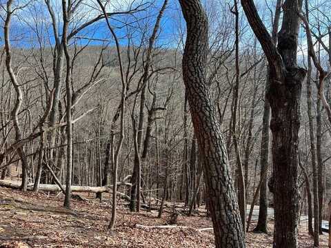 4528 Sassafras Mountain Trail, Jasper, GA 30143