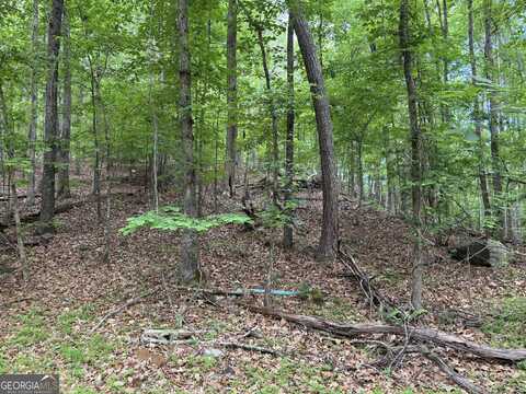 0 Harrison Drive, Lithia Springs, GA 30122