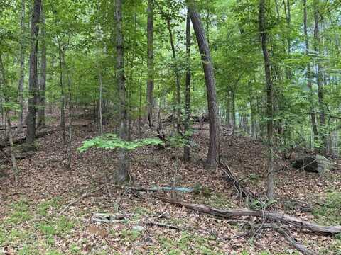 0 Harrison Drive, Lithia Springs, GA 30122