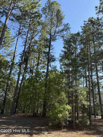 15 Cherry Hill Place, Pinehurst, NC 28374