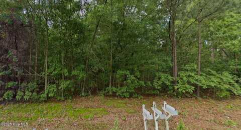 Tbd Palmer Road, Marston, NC 28363