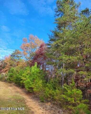 114 Lakeview Pass, Rockingham, NC 28379