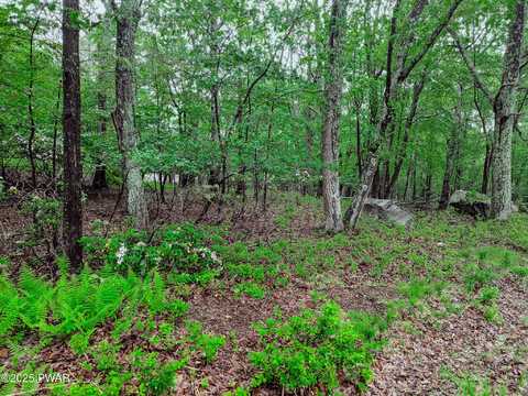 102 Rodney Road Road, Milford, PA 18337