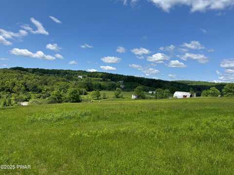 Delaware Drive, Damascus, PA 18415