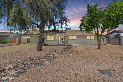 818 N TERRACE Street, Mesa, AZ 85203