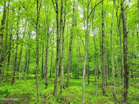 165 Highland Trail, Pleasant Mount, PA 18453