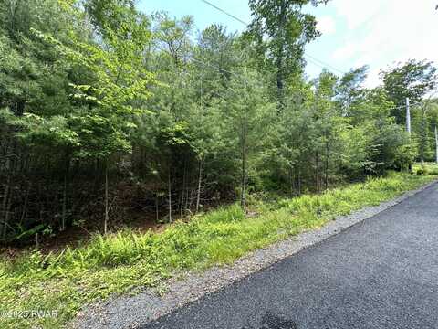 Lot 46 Sec 6 Woodland Drive, Dingmans Ferry, PA 18328