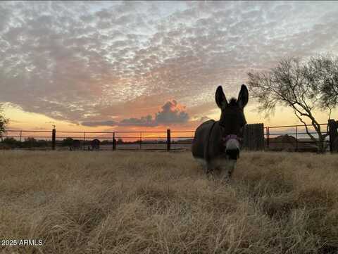 5824 E MONTGOMERY Road, Cave Creek, AZ 85331