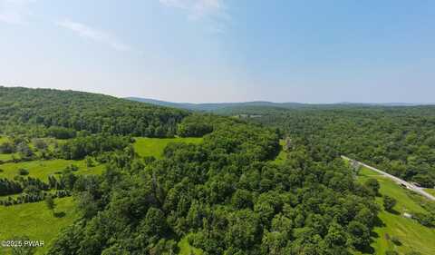 1064 Pine Mill Road, Equinunk, PA 18417