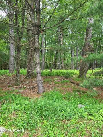 Lot #97 S. Nichecronk Road, Dingmans Ferry, PA 18328