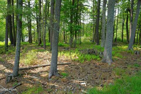Lot #97 S. Nichecronk Road, Dingmans Ferry, PA 18328