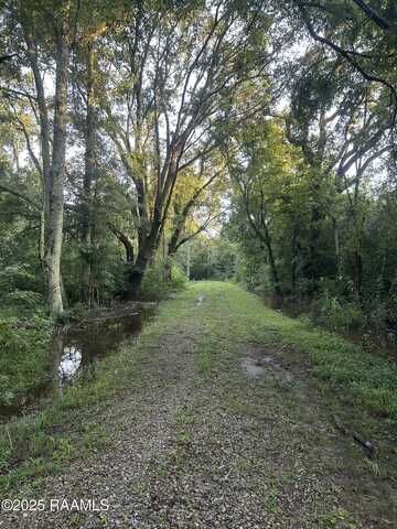 Tbd Bienville Road, Ville Platte, LA 70586
