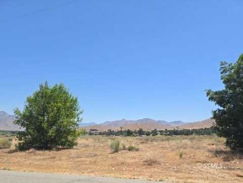 426-390-24 Flycatcher, Weldon, CA 93283
