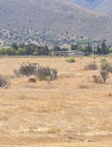 426-390-06 Lakeview, Weldon, CA 93283
